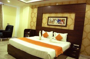Book Udaipur Hotels Online (20)