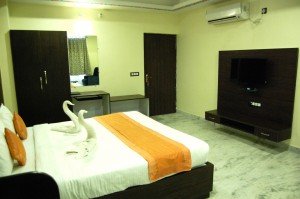 Book Udaipur Hotels Online (22)