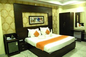 Book Udaipur Hotels Online (50)