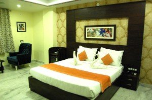 Book Udaipur Hotels Online (53)