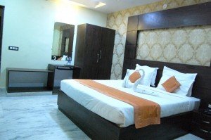 Book Udaipur Hotels Online (62)
